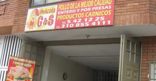 AVICOLA G & S AVICOLA G & S
